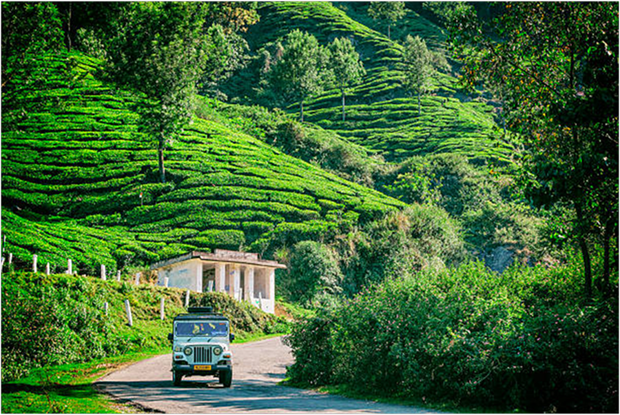 UNMISSABLE MOMENTS IN KERALA